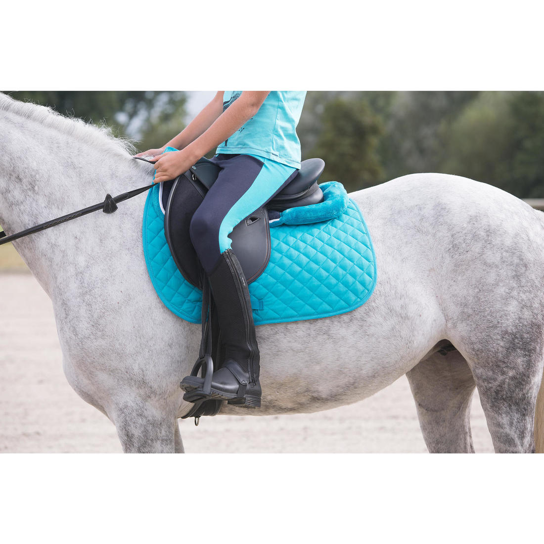 IMG_8367266_3