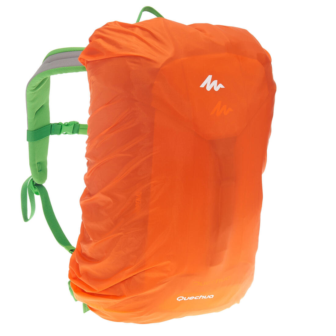 IMG_8303438_1