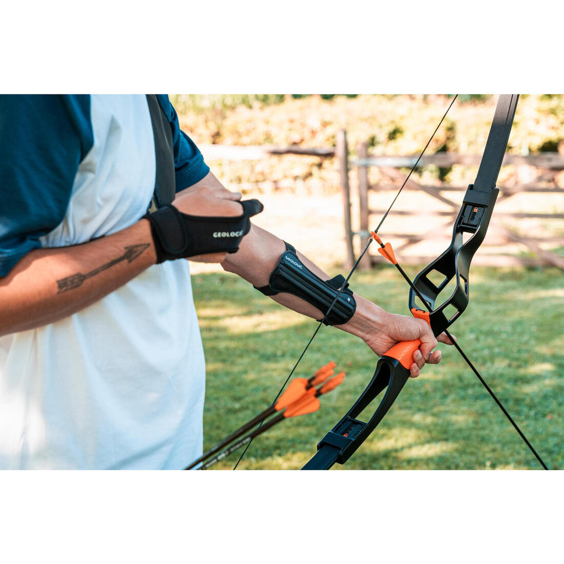 IMG_8867311_8