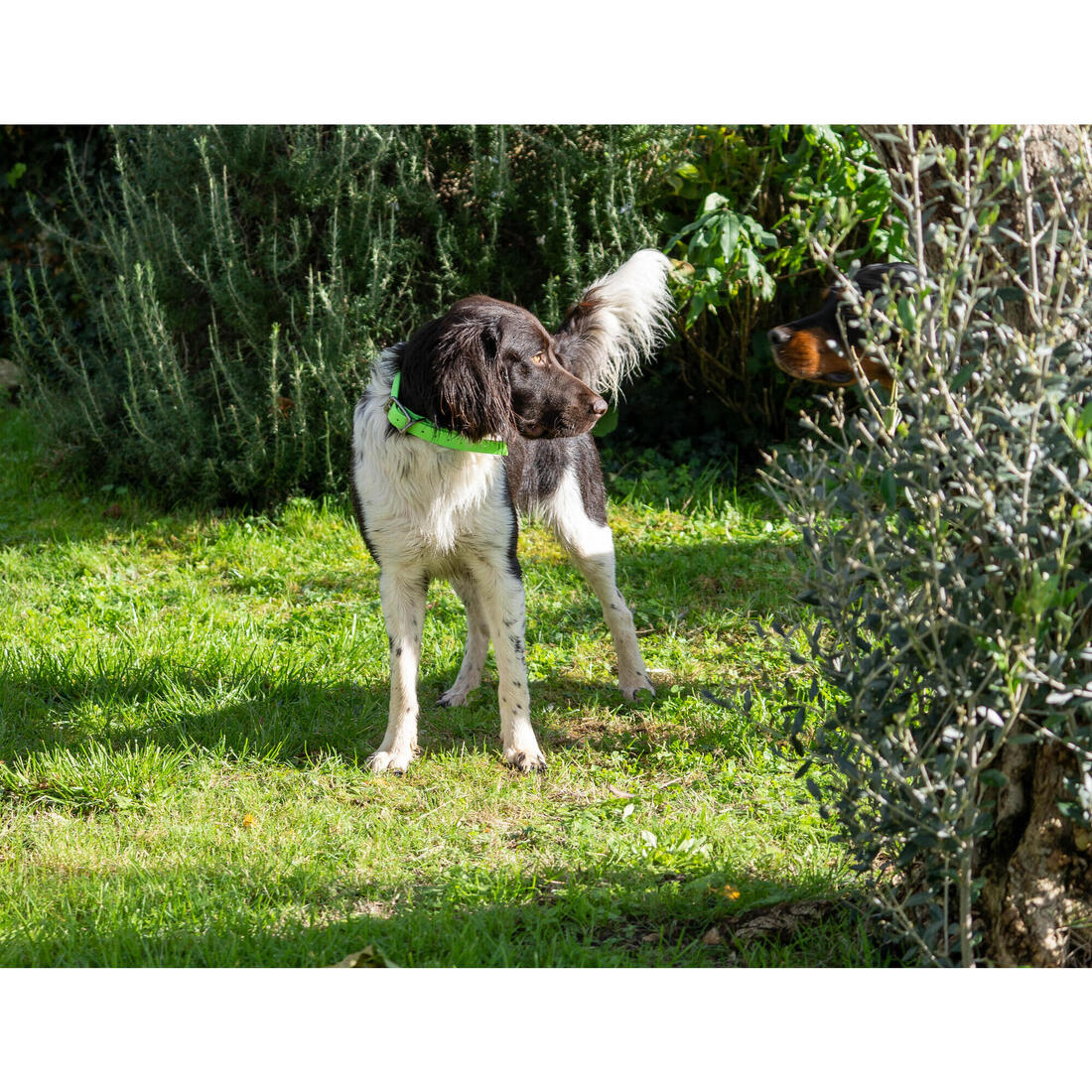 IMG_8561308_12