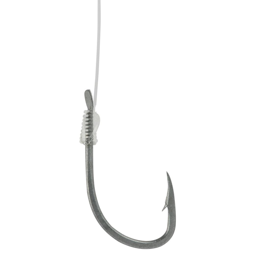 IMG_8349284_13