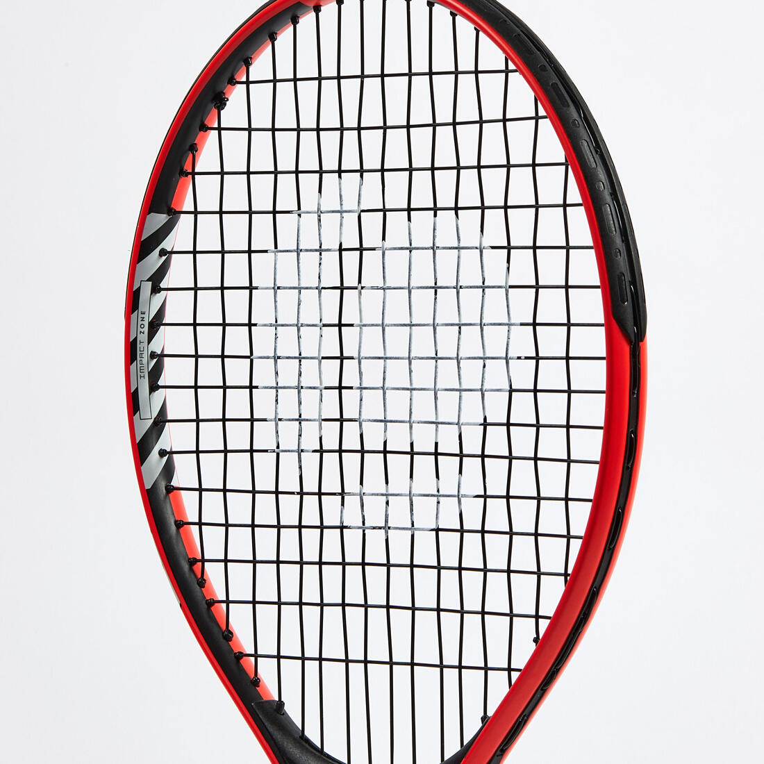 IMG_8540256_5