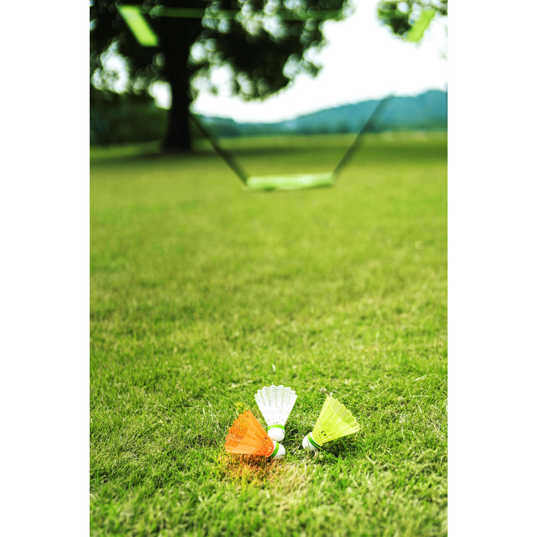 IMG_8873099_10