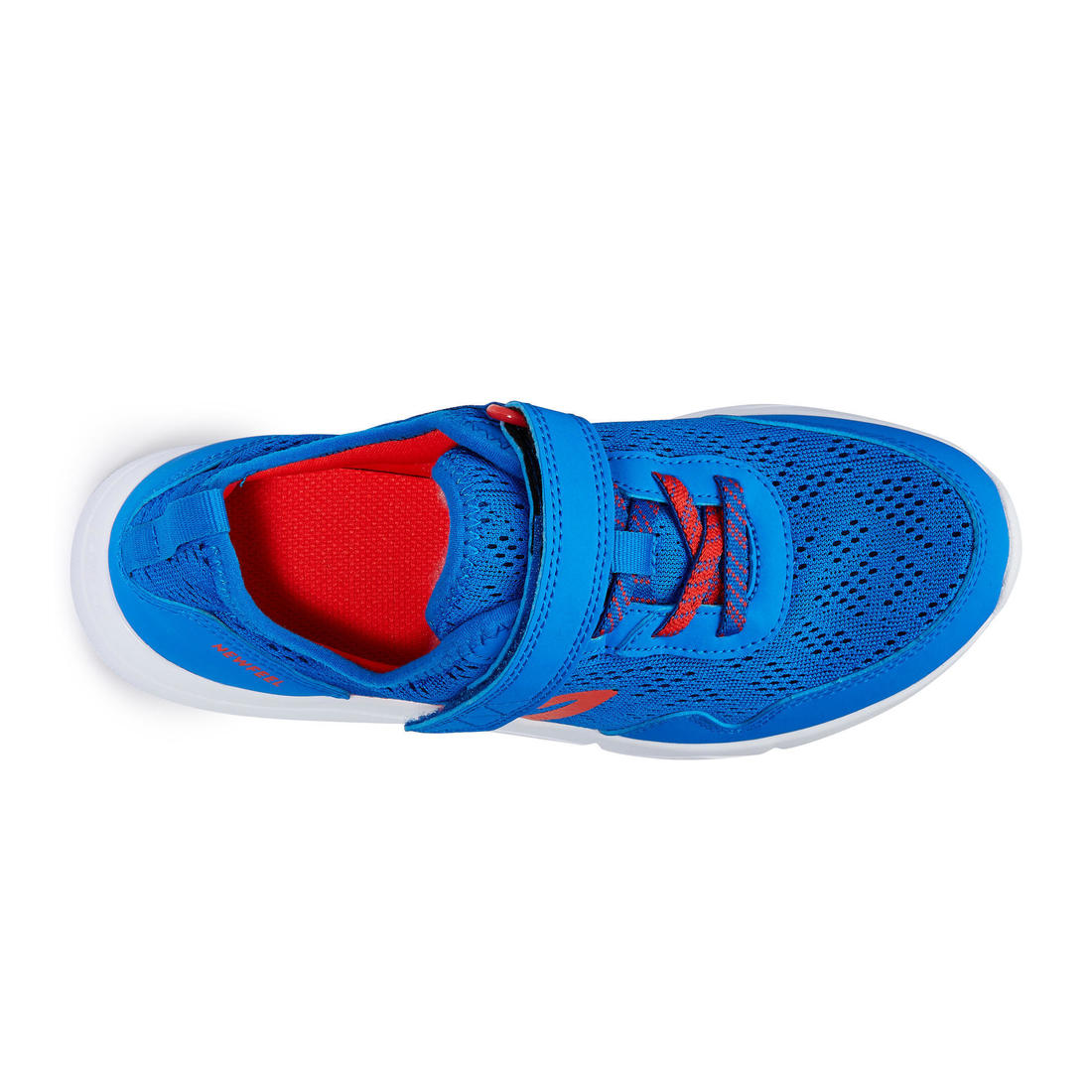 IMG_8595241_5