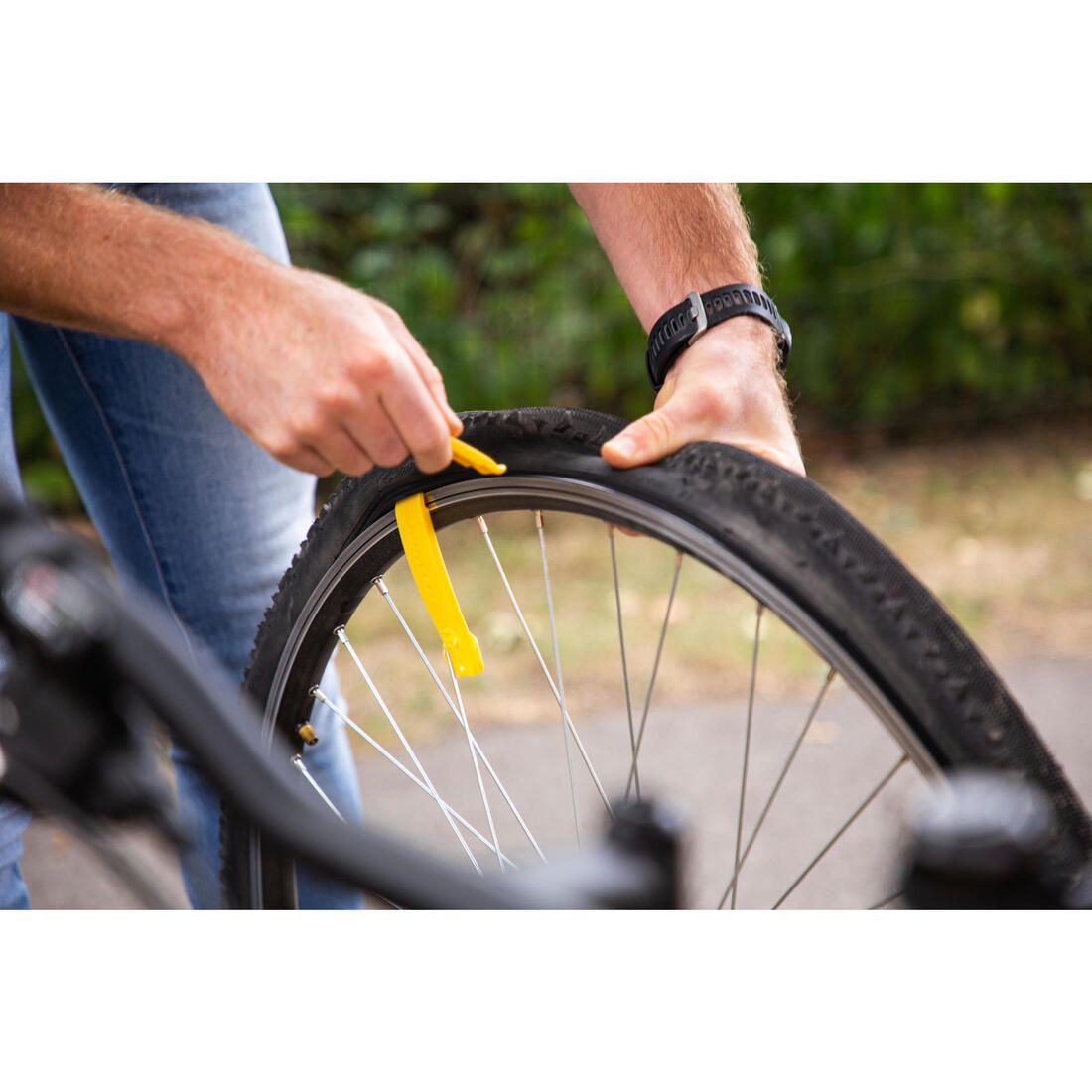 IMG_8544669_2