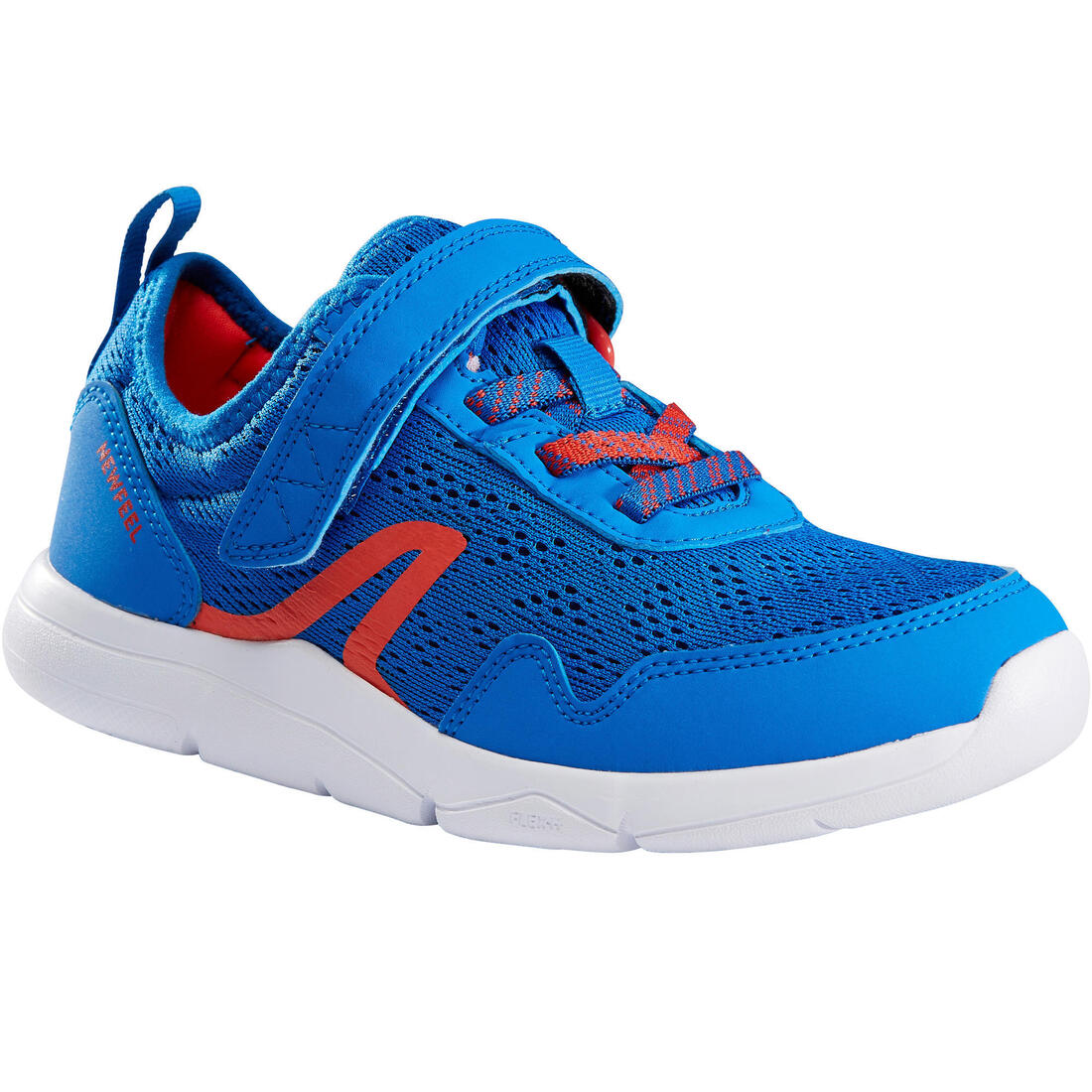 IMG_8595241_2