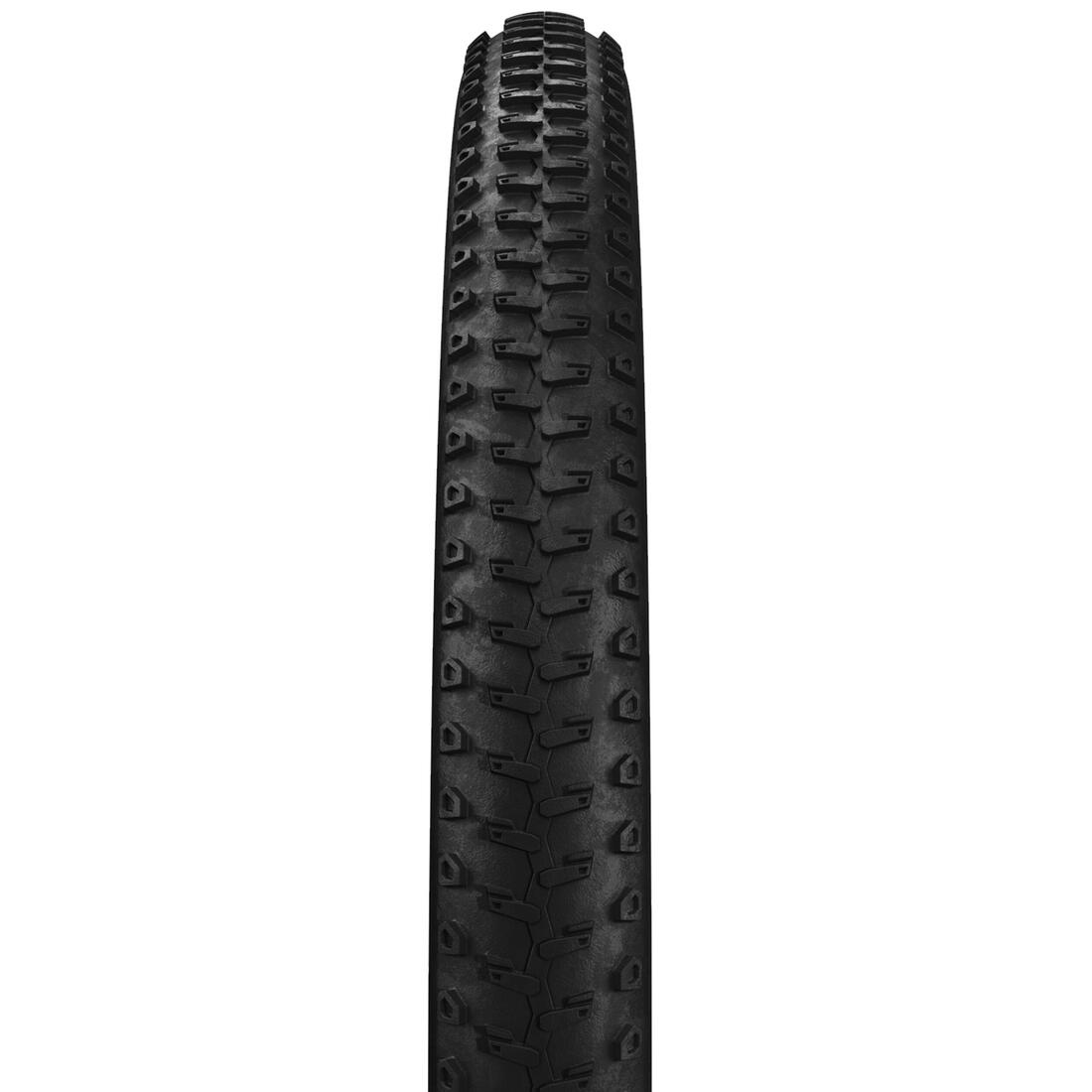 IMG_8328431_4