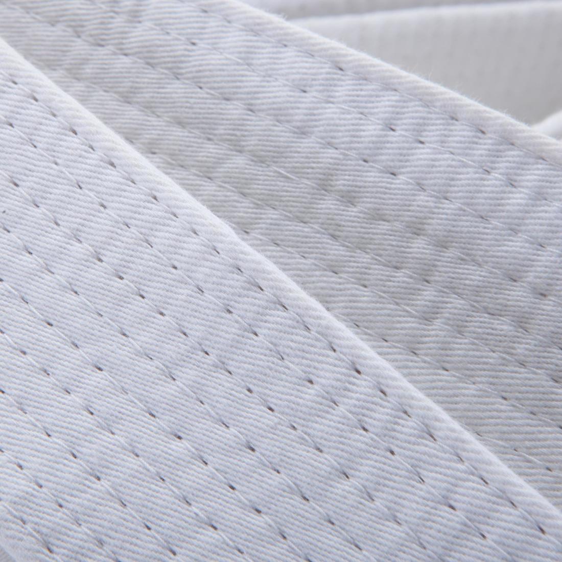IMG_8388781_2