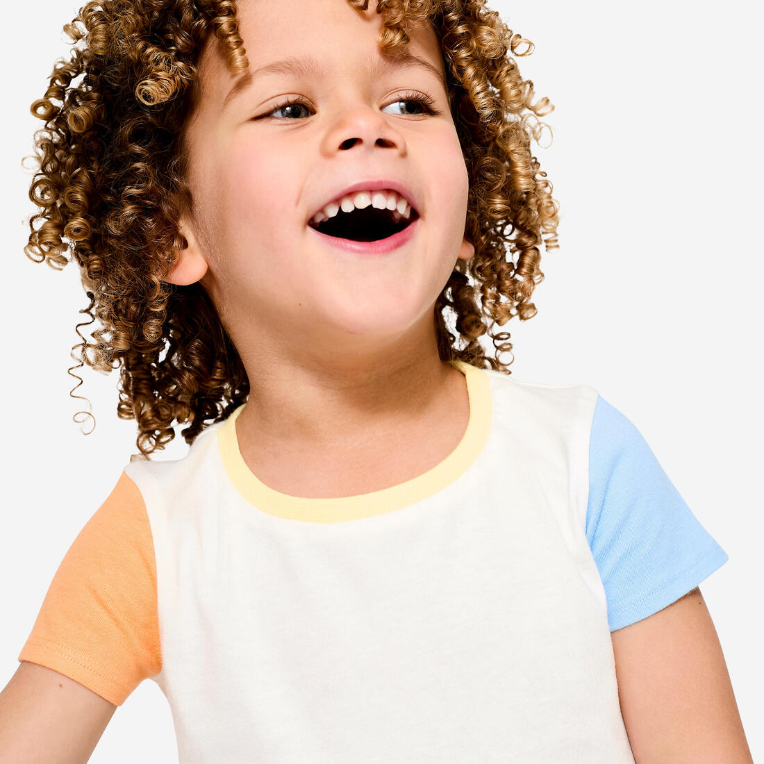 IMG_8619456_3