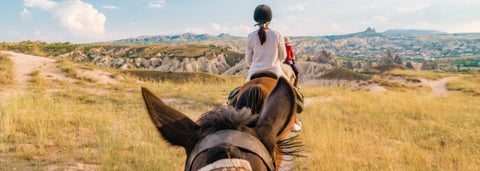 Horse Riding for Beginners