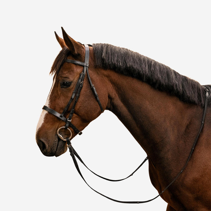 





Horse Riding Leather Bridle With French Noseband & Reins for Horse & Pony 100 - Decathlon Ghana, photo 1 of 21