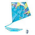 MODULAR 2-IN-1 KITE (STUNT<->STATIC) - IZYPILOT 140 "CAT"