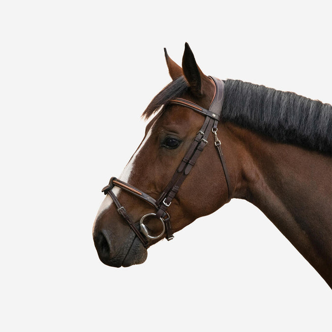 





Horse Riding Leather Bridle With French Noseband for Horse & Pony 580 - Brown, photo 1 of 9