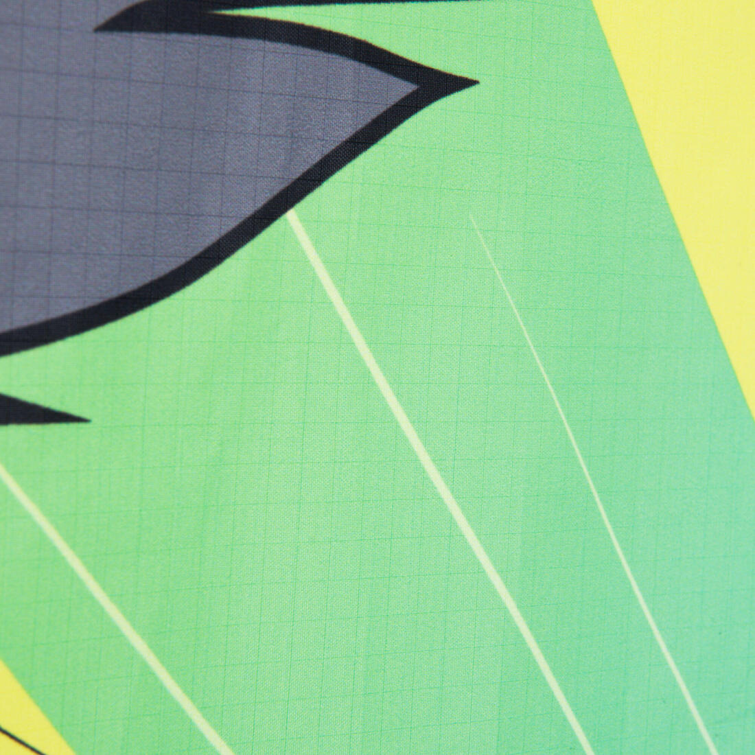 MODULAR 2-IN-1 KITE (STUNT<->STATIC) - IZYPILOT 140 "CAT"