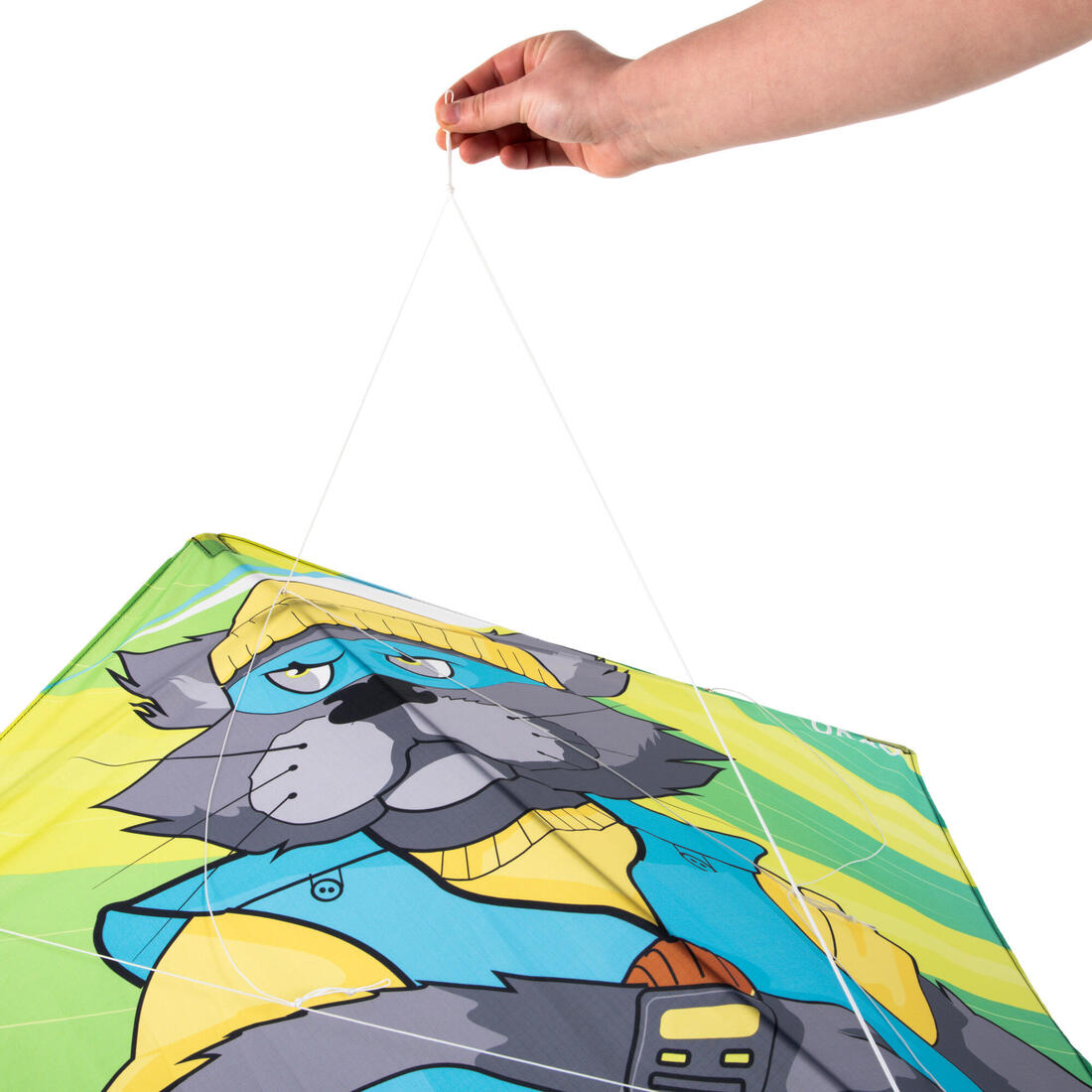 MODULAR 2-IN-1 KITE (STUNT<->STATIC) - IZYPILOT 140 "CAT"