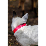 Product thumbnail 8 of 10