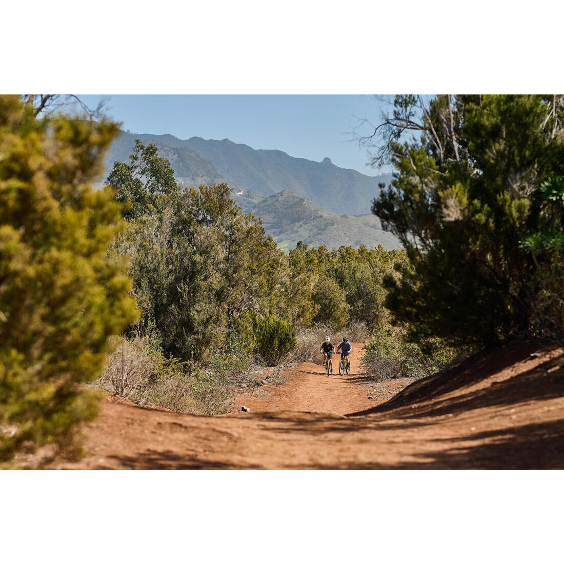 IMG_2697665