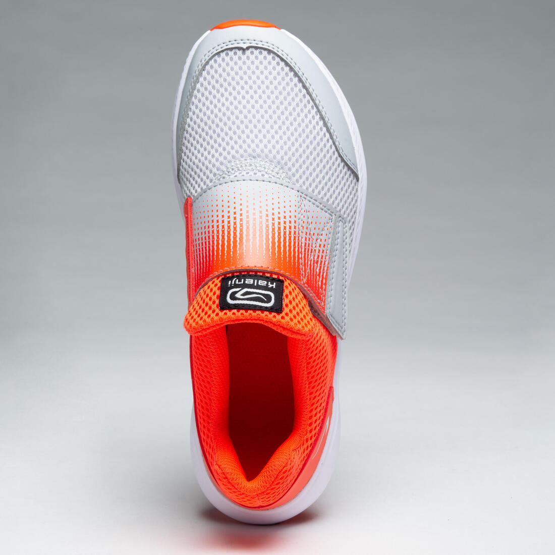 IMG_8505239_6