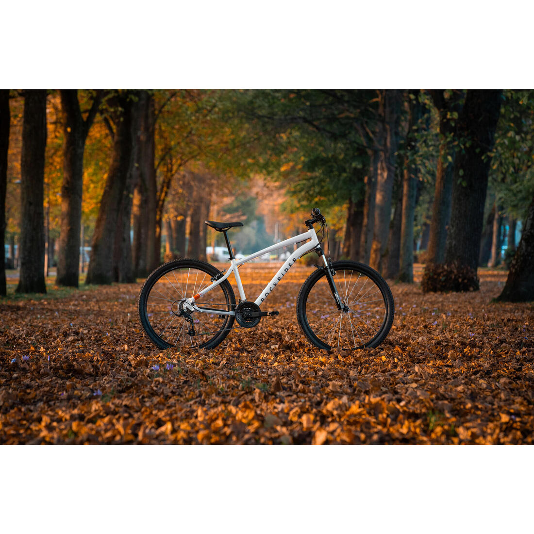 IMG_8802151_9