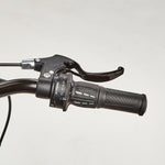 Product thumbnail 14 of 14