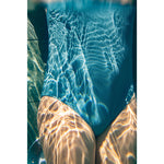Product thumbnail 17 of 17