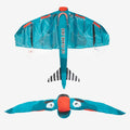 IMG_2481166