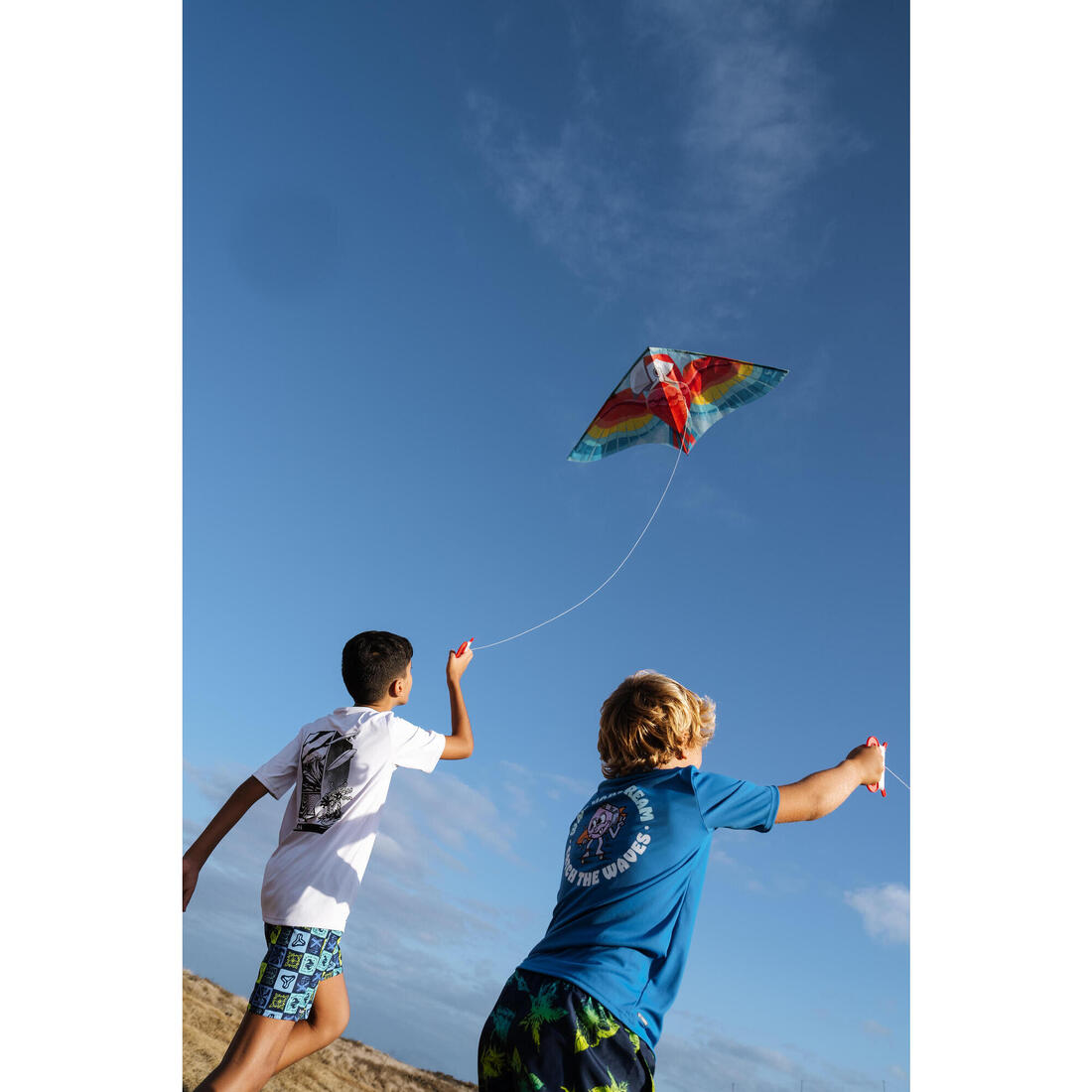 IMG_8871704_9
