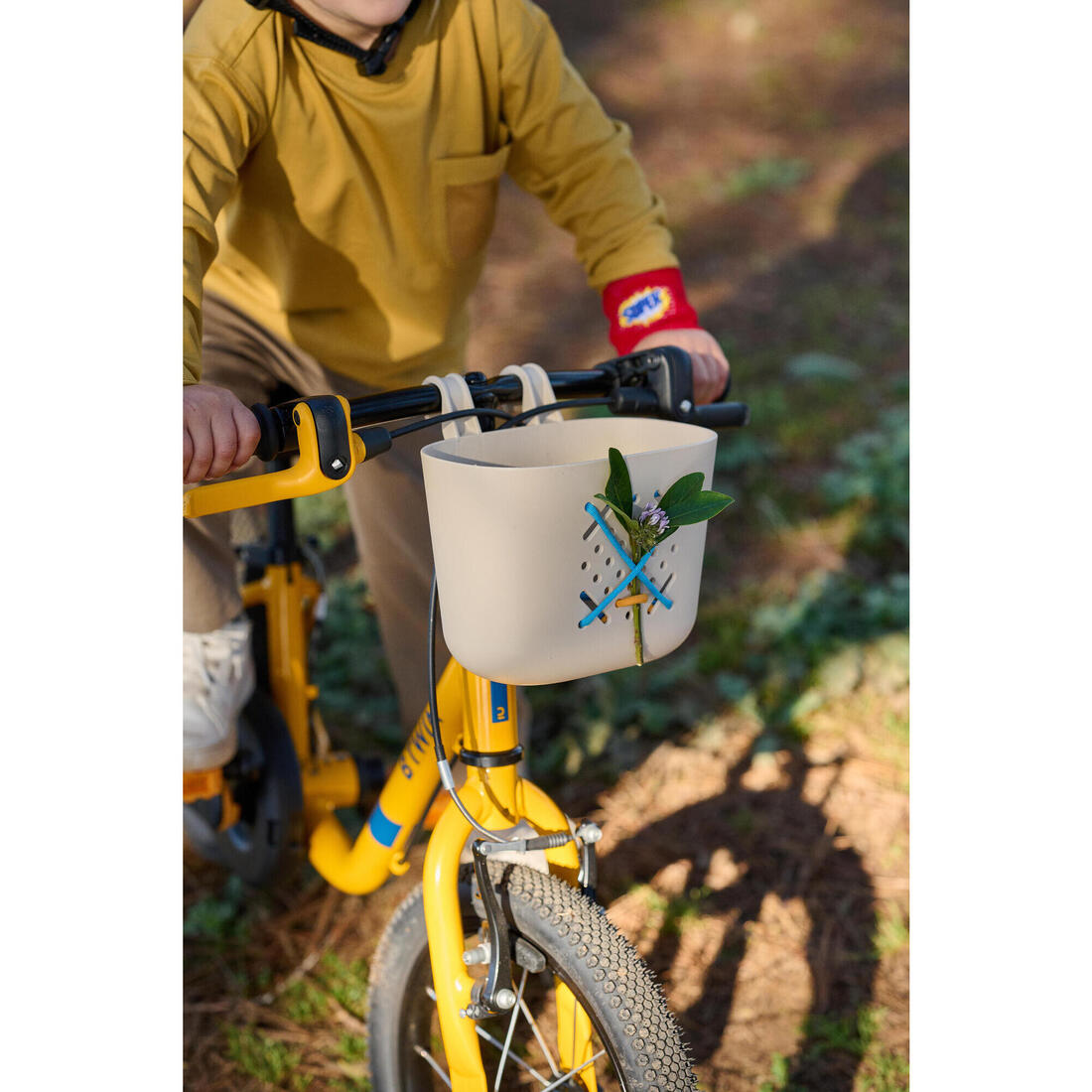 IMG_8842931_9