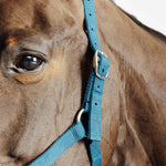 Product thumbnail 2 of 5