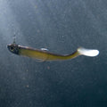 IMG_8643710_11