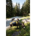 Product thumbnail 3 of 10