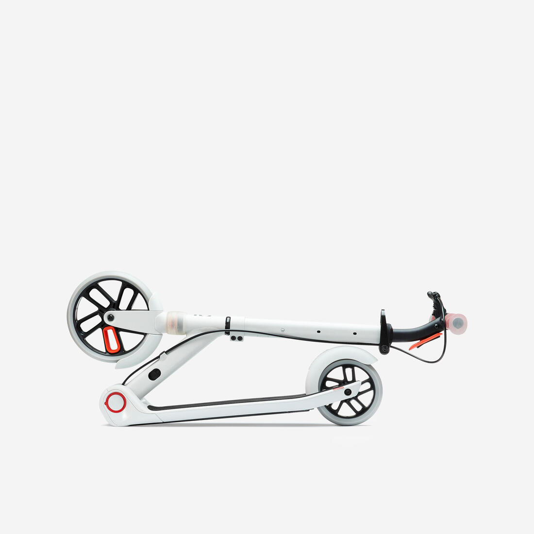 IMG_8643956_3