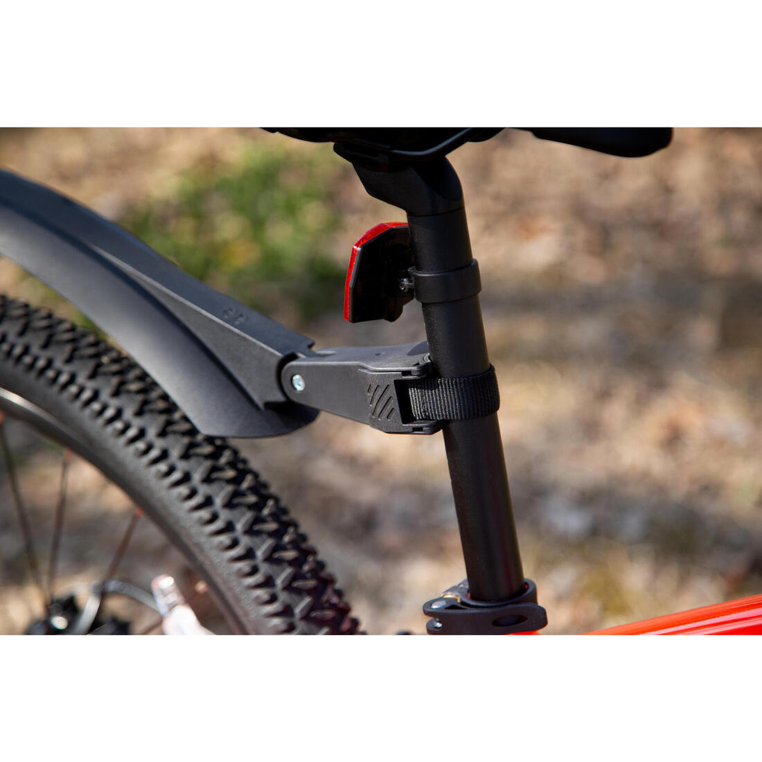 IMG_8615206_10