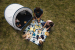 Product thumbnail 6 of 12